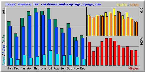 Usage summary for cardenaslandscapingc.ipage.com